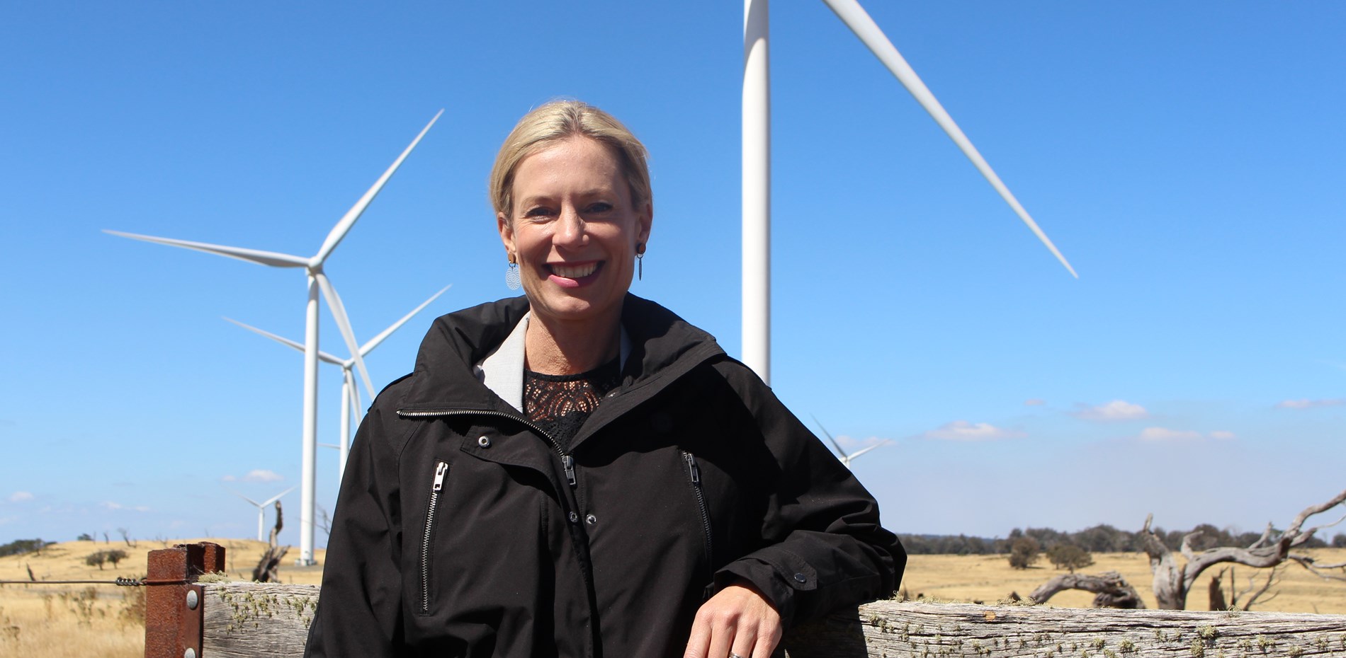 Doubling Tasmania's energy supply Main Image